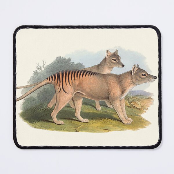 Item preview, Animals Of Australia The Tasmanian Tiger Or Thylacine designed and sold by JoolyA.