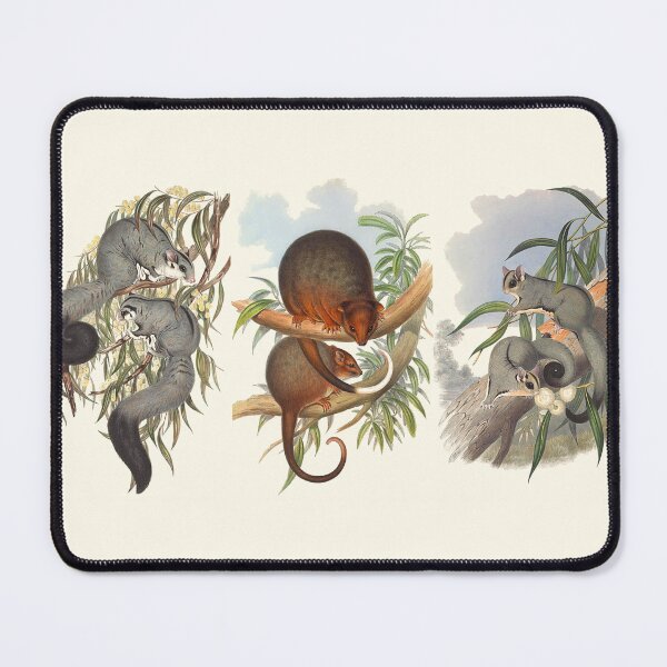 Item preview, Animals Of Australia The Possums designed and sold by JoolyA.