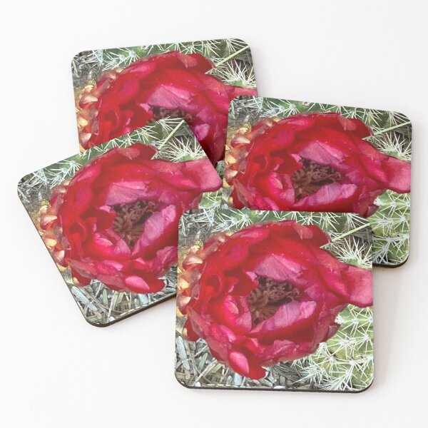 Item preview, Cactus Flower designed and sold by pinkyjainpan.