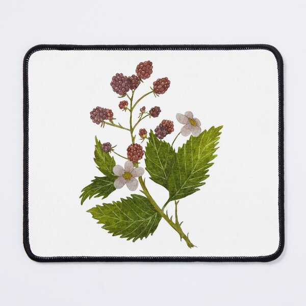 Item preview, Hand painted vintage style botanical watercolor raspberries designed and sold by Jackies-art.
