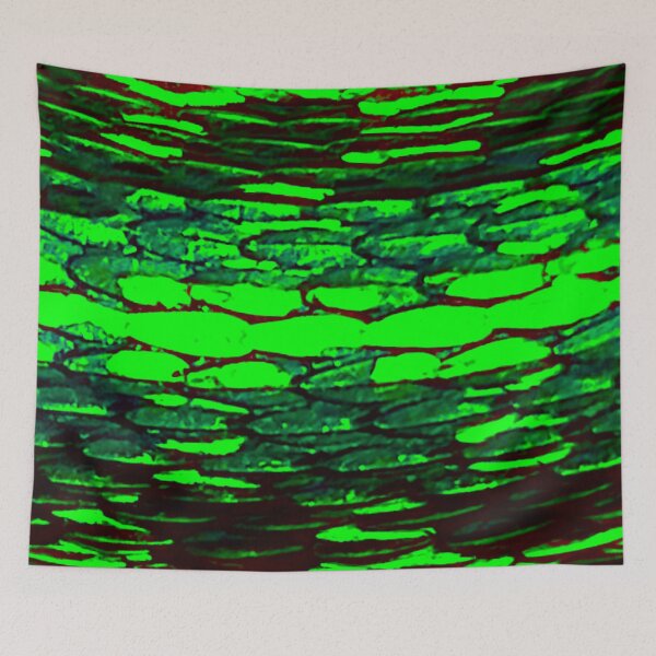Item preview, Grassy Green Garter Snake Skin designed and sold by CJRPics.