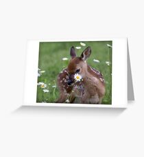 Gracie Flower Greeting Card
