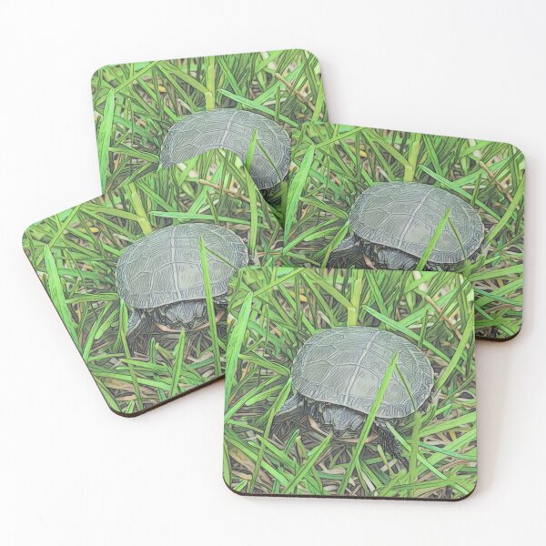 Item preview, Baby Turtle designed and sold by O-Time.