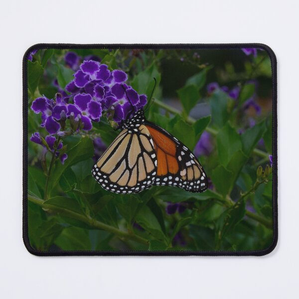 Item preview, Butterfly designed and sold by Hayd En.