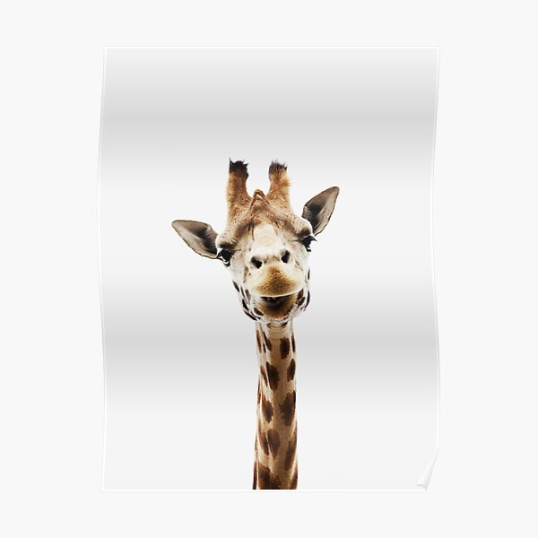 giraffe baby decorations nursery