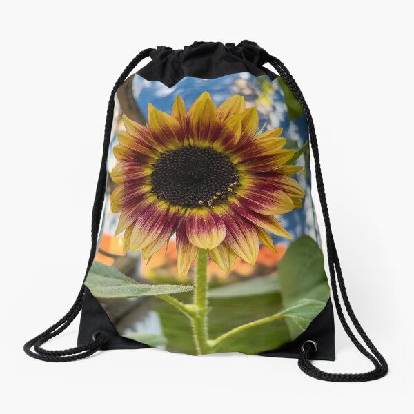 Evening Sun Drawstring Bag