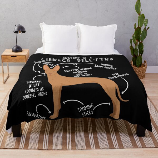Item preview, Cirneco dell'Etna Dog Anatomy designed and sold by Clara Hollins.