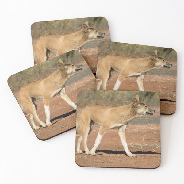Item preview, Australian Dingo in the wild designed and sold by johkar-photos.