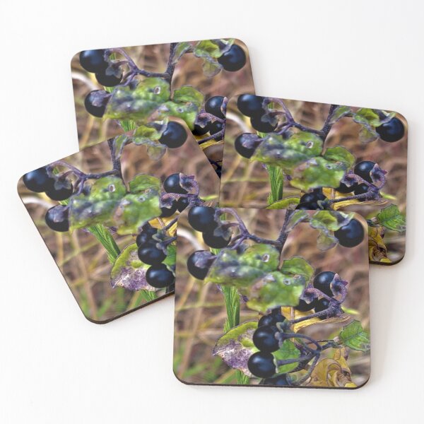 Item preview, Black currant berries  designed and sold by sadeek1021953Ss.