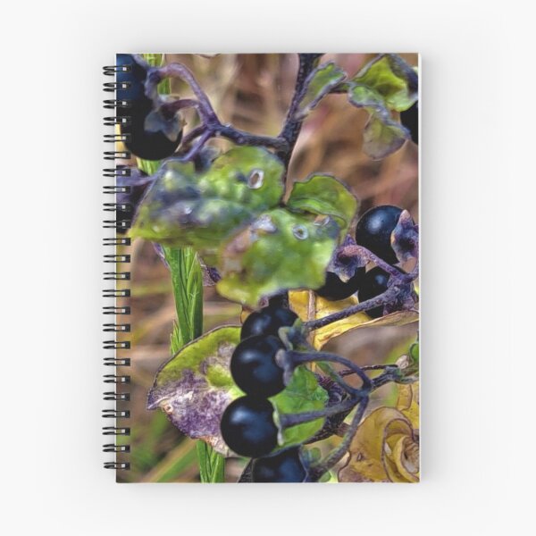 Item preview, Black currant berries  designed and sold by sadeek1021953Ss.