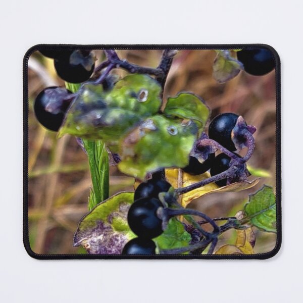 Item preview, Black currant berries designed and sold by sadeek1021953Ss.