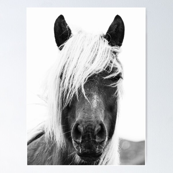 Item preview, Wild Horses, Horse print, Horse art, Wall art, Wall decor, Trendy print, Animal print, Interior designed and sold by juliaemelian.