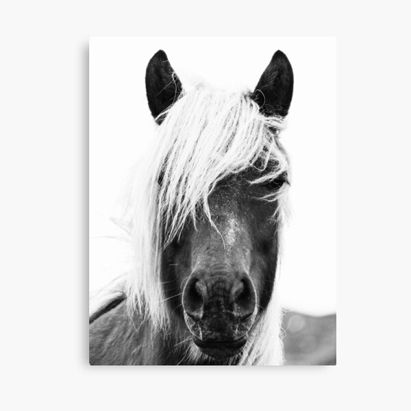 Item preview, Wild Horses, Horse print, Horse art, Wall art, Wall decor, Trendy print, Animal print, Interior designed and sold by juliaemelian.