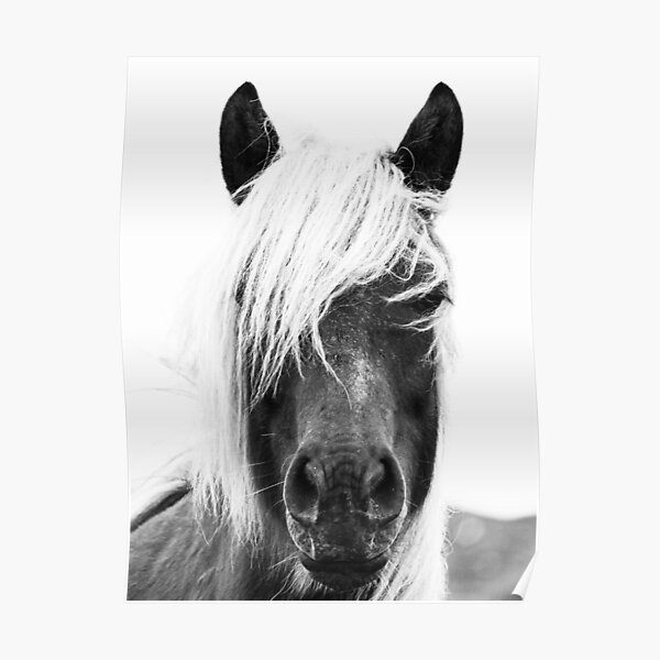 Wild Horses, Horse print, Horse art, Wall art, Wall decor, Trendy print, Animal print, Interior Poster