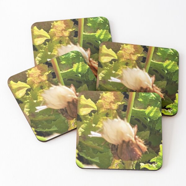Item preview, flamingo flower in the garden  designed and sold by sadeek1021953Ss.