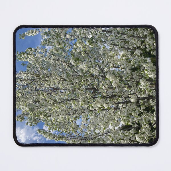 Item preview, Large Blooming Pear Tree designed and sold by Amanda1775.