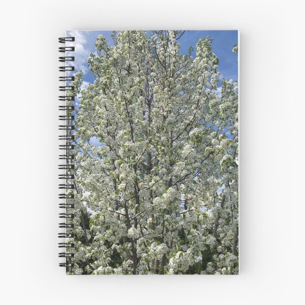Item preview, Large Blooming Pear Tree designed and sold by Amanda1775.