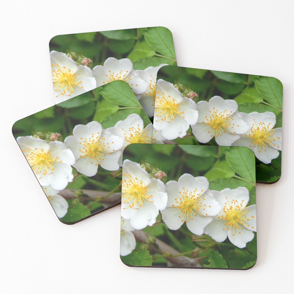 Item preview, Coasters (Set of 4) designed and sold by gistinker.