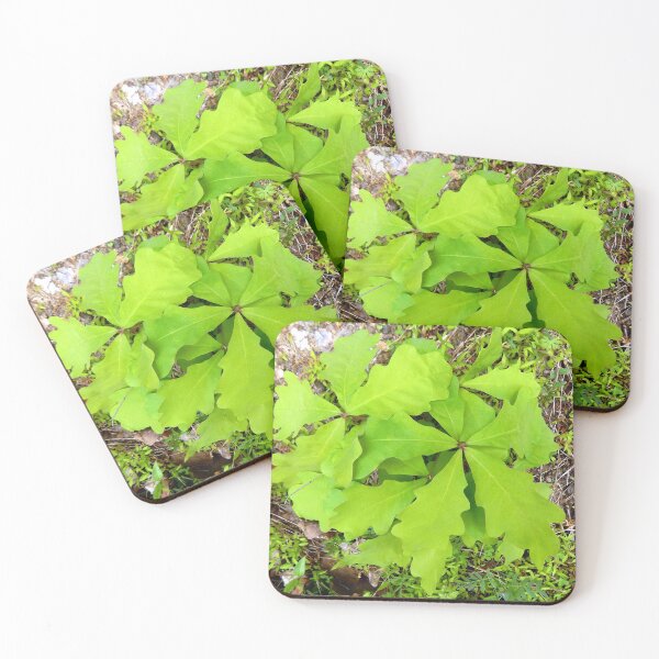 Item preview, White Oak Saplings designed and sold by gistinker.