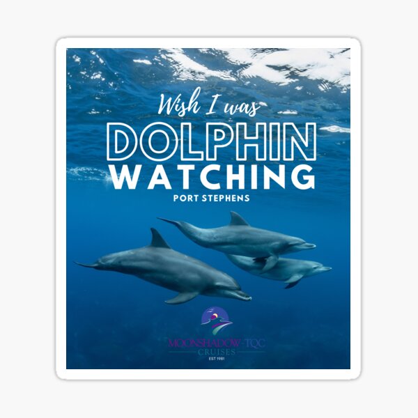 MSTQC Dolphin Watching Sticker