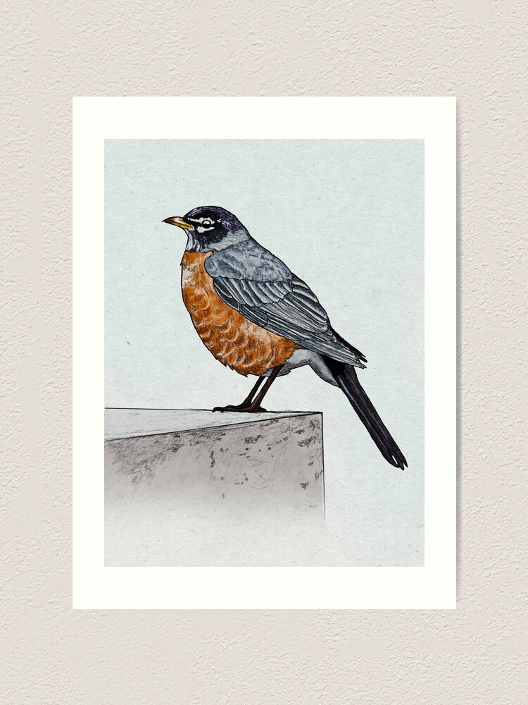 Alternate view of Robin Art Print