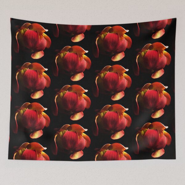 Item preview, Pitcher Plant Bloom (Sarracenia purpurea) designed and sold by Tippitiwichet.