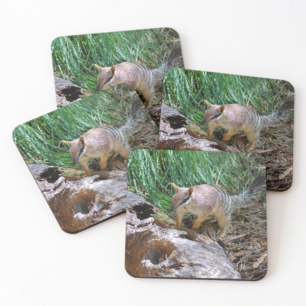 Item preview, Numbat 2 designed and sold by LeanneAllen.