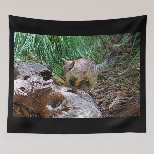 Item preview, Numbat 2 designed and sold by LeanneAllen.