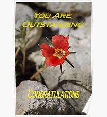 You Are Outstanding Poster