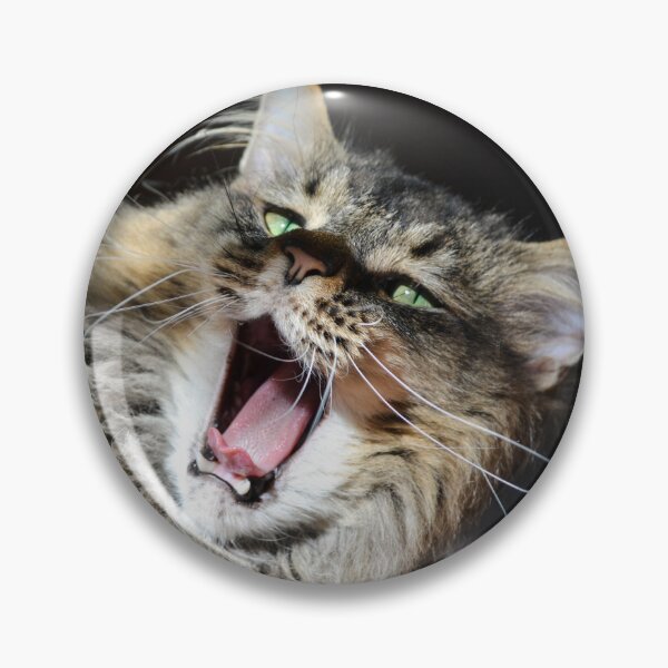 Item preview, Cute yawning Maine Coon cat designed and sold by MailboxJim.