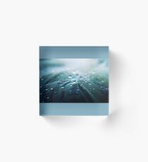 Waterdrop Acrylic Block