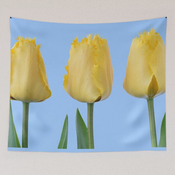 Item preview, Tulipa 'Crystal Star' Fringed Tulip designed and sold by Chris Burrows.