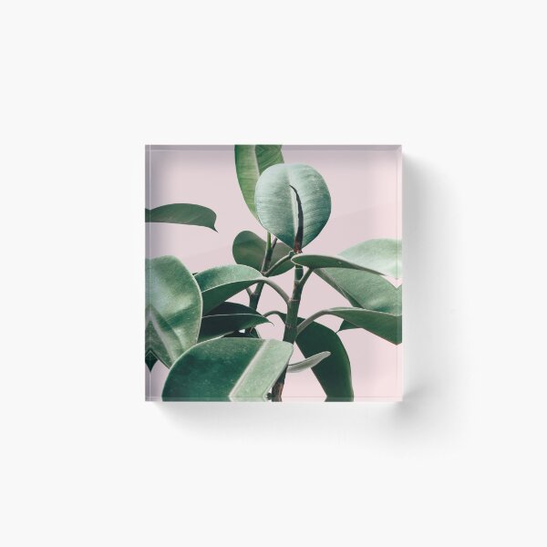 Item preview, Leaves, Pink, Tropical leaves, Leaf, Modern art, Wall art, Print, Minimalistic, Modern, Scandinavian print designed and sold by juliaemelian.