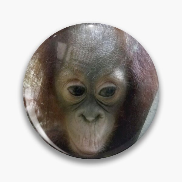 Item preview, Monkey curious  designed and sold by deville13.