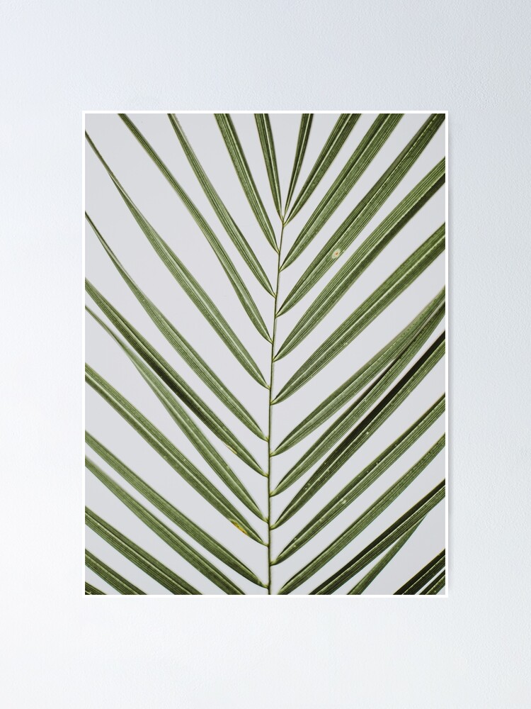 "Plant, Leaf, Nature, Neutral, Landscape,Scandinavian art, Modern art