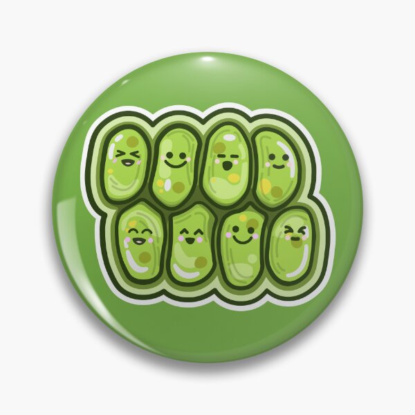 Item preview, Cute Algae Joyful Coenobium: green microalgae Scenedesmus designed and sold by thurakitdew.