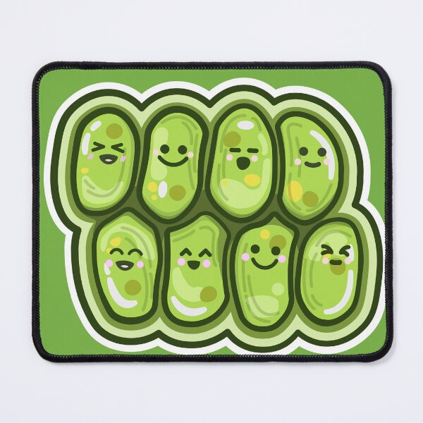 Item preview, Cute Algae Joyful Coenobium: green microalgae Scenedesmus designed and sold by thurakitdew.