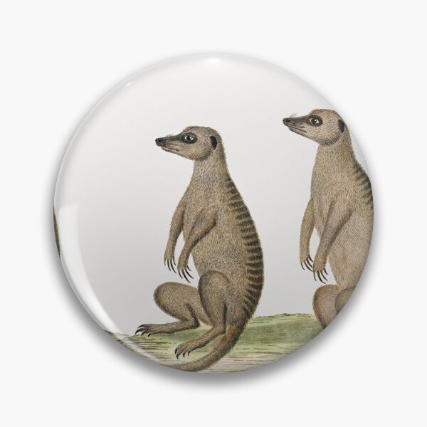 Item preview, Meerkats vintage art designed and sold by Vintage Designs +.