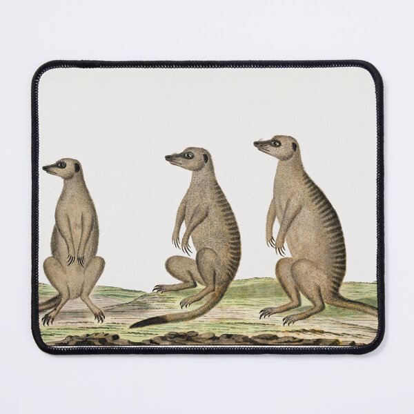 Item preview, Meerkats vintage art designed and sold by Vintage Designs +.