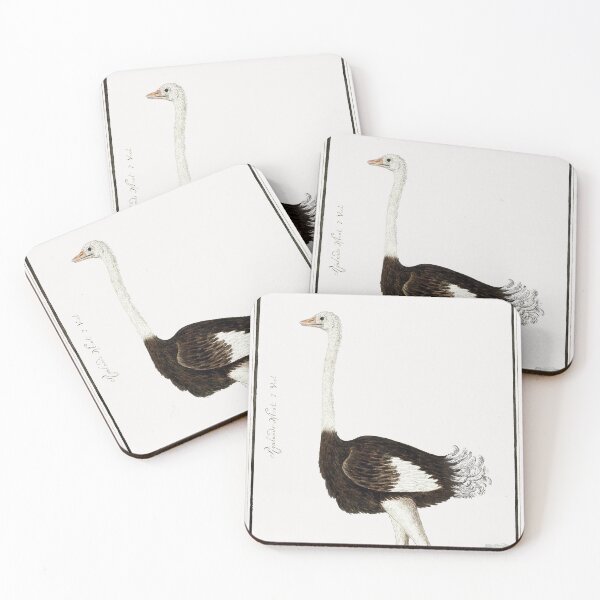 Item preview, Ostrich vintage illustration art designed and sold by Vintage Designs +.