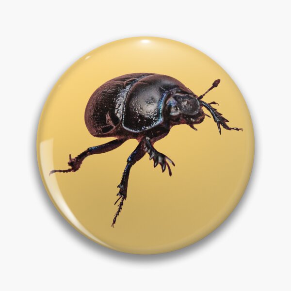 Item preview, Dung Beetle designed and sold by Dalyndigital Photography.