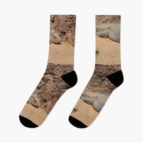 Item preview, Rhinoceros Iguana Nature Lovers Fuerteventura designed and sold by eddiebarronshop.