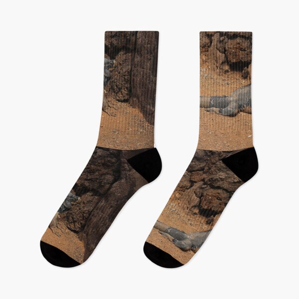 Item preview, Rhinoceros Iguana Shedding Nature Lovers Fuerteventura designed and sold by eddiebarronshop.