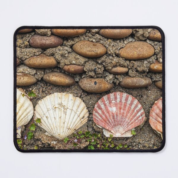 Item preview, Seashells  designed and sold by ellenmpics.