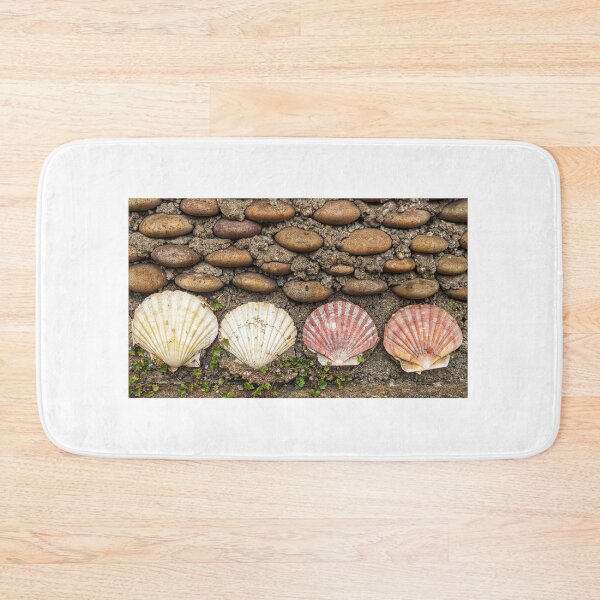 Item preview, Seashells  designed and sold by ellenmpics.