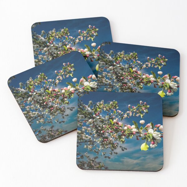 Item preview, Forgetting Winter designed and sold by Steve Walser.