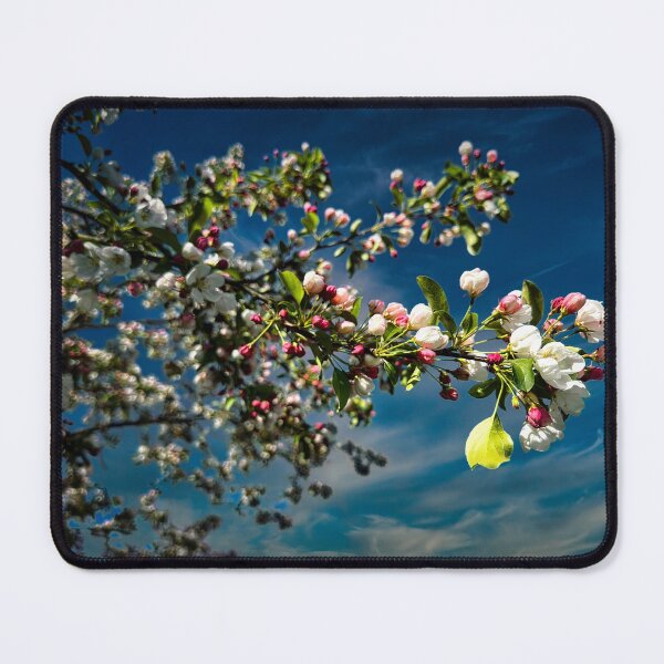Item preview, Forgetting Winter designed and sold by Steve Walser.