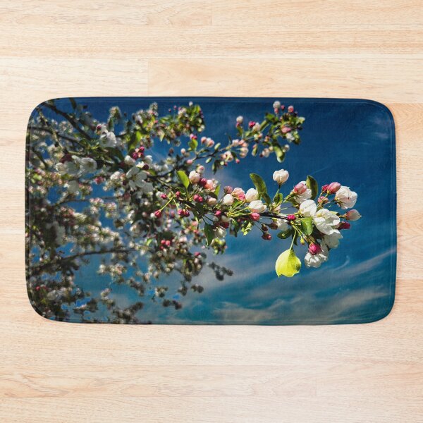 Item preview, Forgetting Winter designed and sold by Steve Walser.