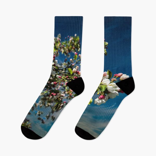 Item preview, Forgetting Winter designed and sold by Steve Walser.