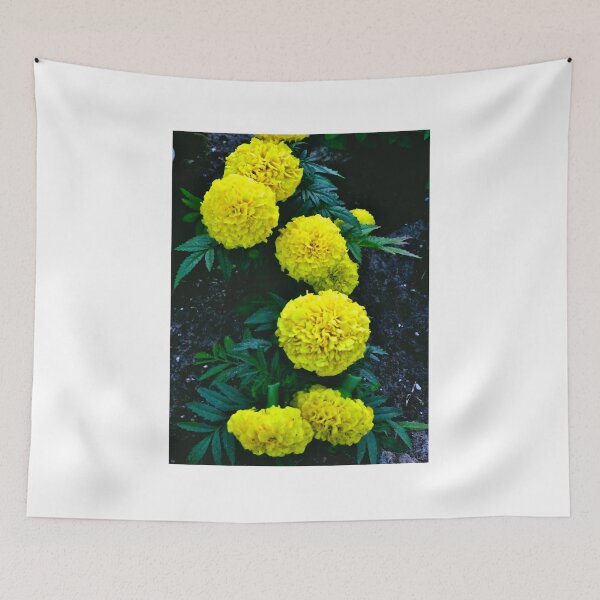 Item preview, French Marigolds designed and sold by MercerImages.